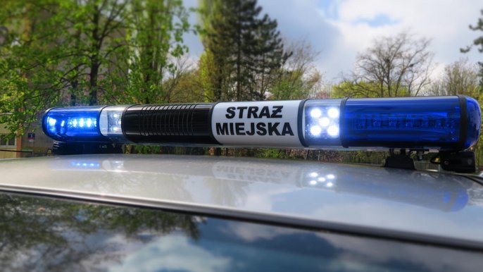 Kierował bez uprawnień Kierował bez uprawnień
