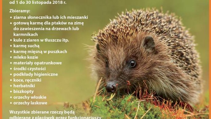 IV edycja akcji "Dzikość Serca" trwa jeszcze 10 dni. IV edycja akcji "Dzikość Serca" trwa jeszcze 10 dni.