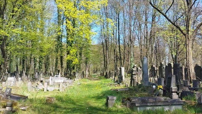 - Fot. UMŁ