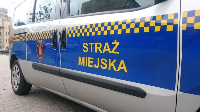 Wykroczenia w ruchu drogowym Wykroczenia w ruchu drogowym