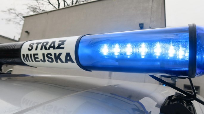 Kierował pomimo sądowego zakazu Kierował pomimo sądowego zakazu