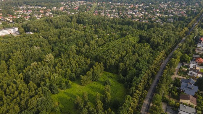 Tereny zielone przy ulicach Wycieczkowej i Centralnej Tereny zielone przy ulicach Wycieczkowej i Centralnej - fot. Stefan Brajter / UMŁ