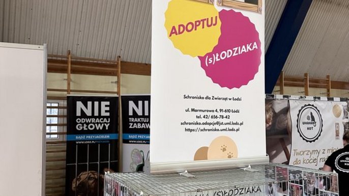 Zdjęcie z obchodów Światowego Dnia Kota. - Klatka kenelowa, a na niej roll up promujący świadomą adopcję z łódzkiego schroniska.