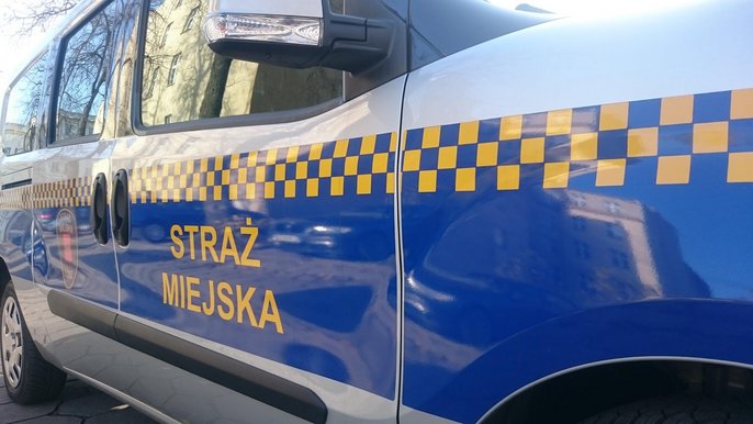 Interwencje na terenie miasta Interwencje na terenie miasta