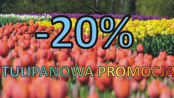 Tulipanowa promocja - Zoo Łódź