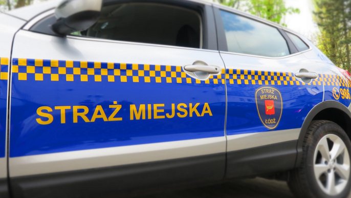 Działania patroli w terenie Działania patroli w terenie