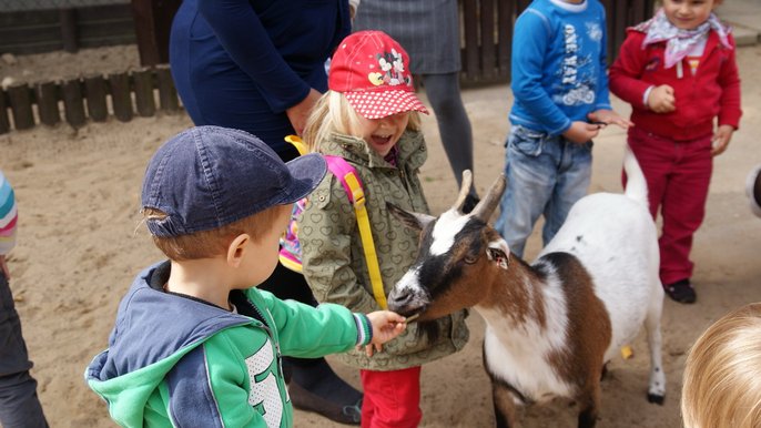 ZOO ŁÓDŹ - Ewa Szkudlarek