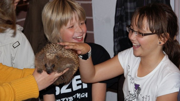 Zimowe zajęcia edukacyjne - z arch. ZOO