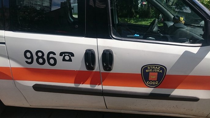 I znów wykroczenia drogowe... I znów wykroczenia drogowe...