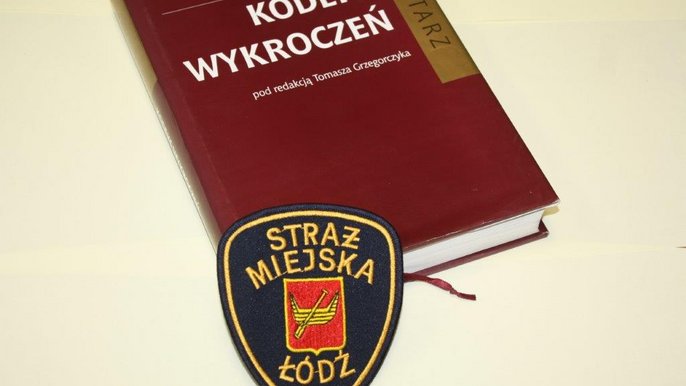 Wykroczenia w ruchu drogowym 