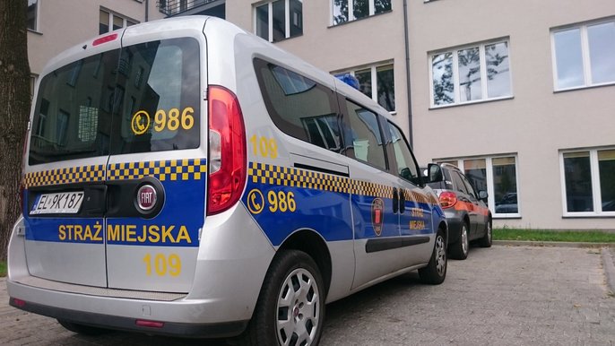 Interwencje na terenie miasta Interwencje na terenie miasta