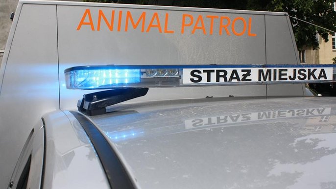 Na pomoc zwierzętom Na pomoc zwierzętom