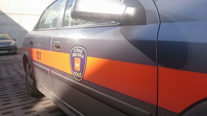 Zgłoszenia na linię alarmową 986 Zgłoszenia na linię alarmową 986