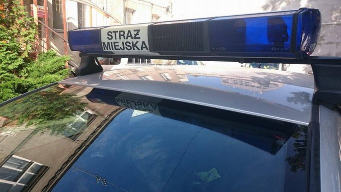 Działania patroli na terenie miasta 