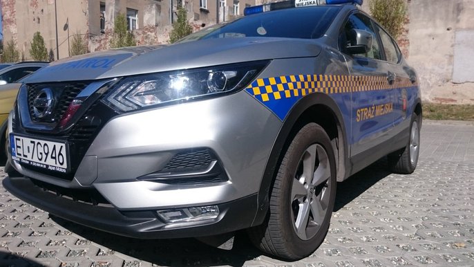 Wykroczenia drogowe w roli głównej Wykroczenia drogowe w roli głównej