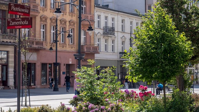 Nasadzenia zrobiono m.in. przy ul. Zamenhofa - fot. z arch. UMŁ