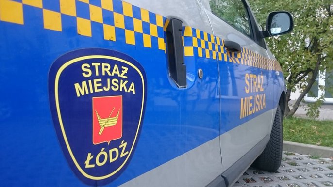 Wykroczenia drogowe w roli głównej Wykroczenia drogowe w roli głównej