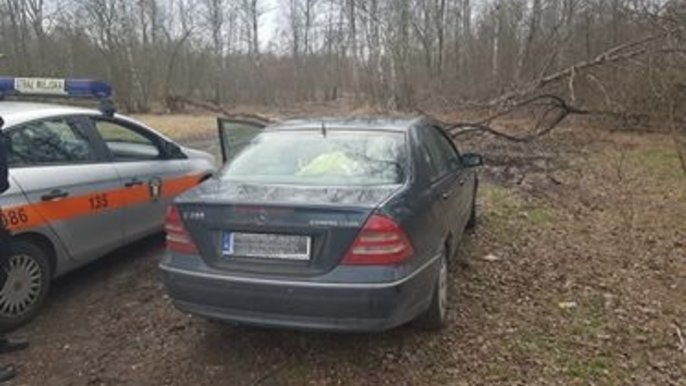 Ukarani za nieuprawniony wjazd do lasu Ukarani za nieuprawniony wjazd do lasu