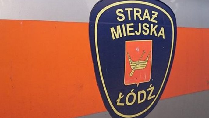 Kierujący na bakier z przepisami Kierujący na bakier z przepisami